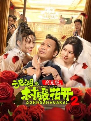 精品高清一区二区视频在线