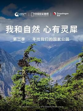 一区二区199视频