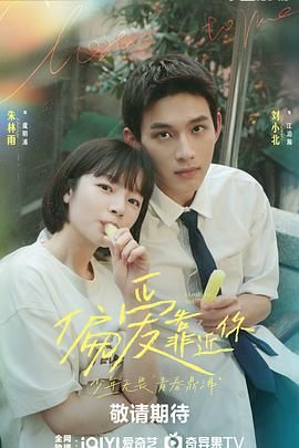 鲁大师在线观看电视剧软件