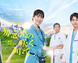 偷黄金无人察觉视频在线观看高清