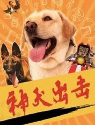 国产精品一区二区精品视频免费看
